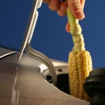 ethanol fuel
