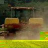 insecticide_pesticide_agriculture.JPG