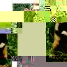 Grand_Hamster_d__Alsace.JPG