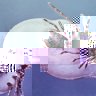 tique.JPG