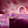 fertilite_spermatozoides.jpg