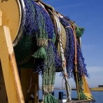 Filets de pêche
