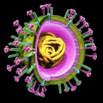 virus grippe A
