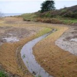 Rivière pollution nitrates