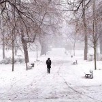 froid
