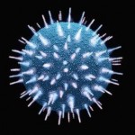 virus HIV