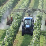 Traitement vignes