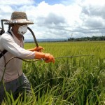 Pesticides 3