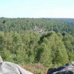 forêt de Fontainebleau