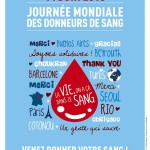 Affiche JMDS 2013