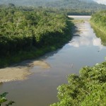Fleuve Napo