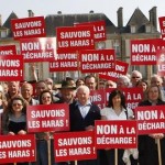 Nonant Environnement