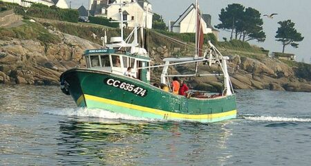 Bolincheur à Concarneau - crédit Pline