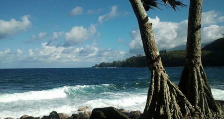 La Réunion - Anse des cascades (crédit regulator)