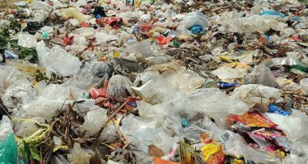 Déchets sacs plastiques
