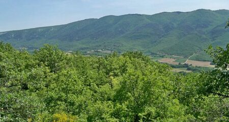 Parc du Luberon