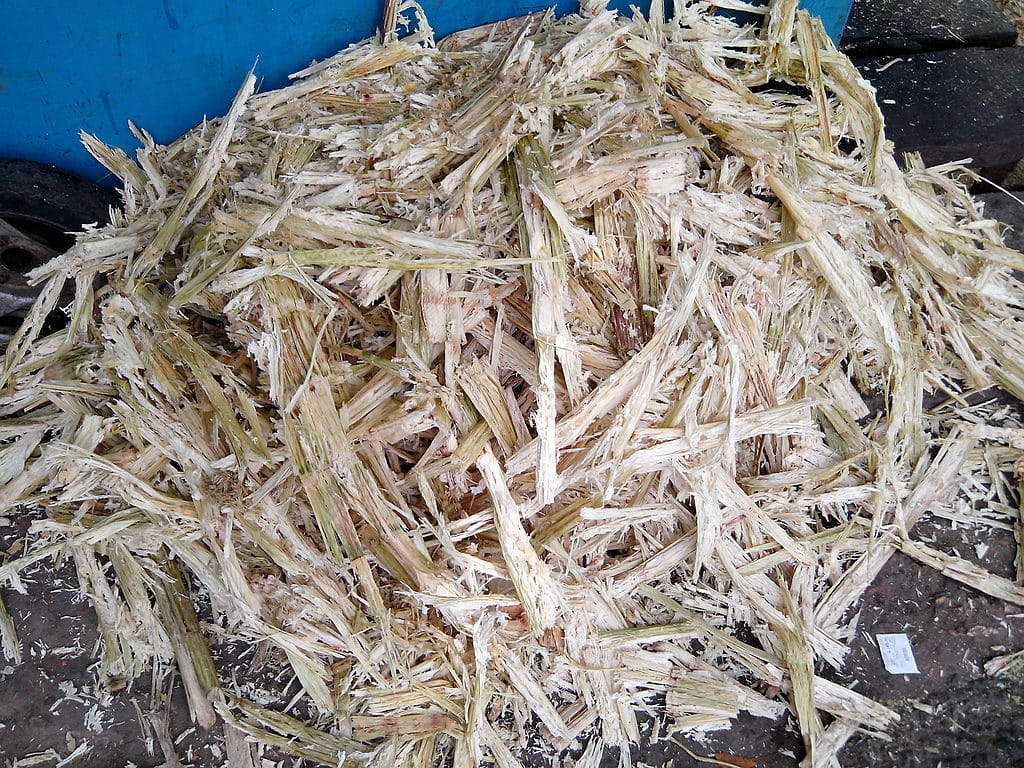 En Outre-mer, la canne à sucre devient électricité canne-a-sucre-bagasse-outre-mer