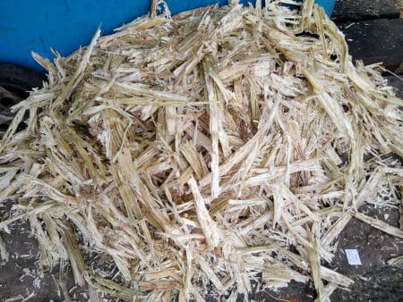 canne-a-sucre-bagasse-outre-mer