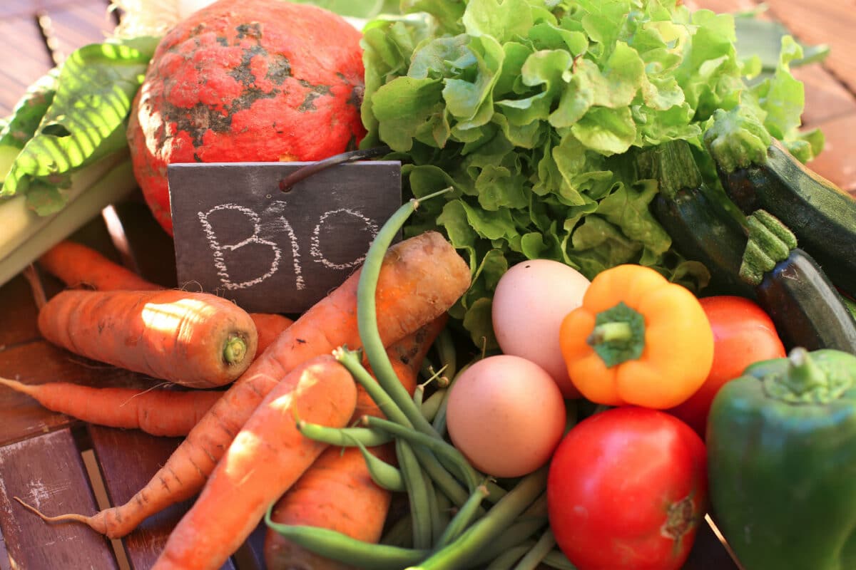 Le marché du bio en plein essor