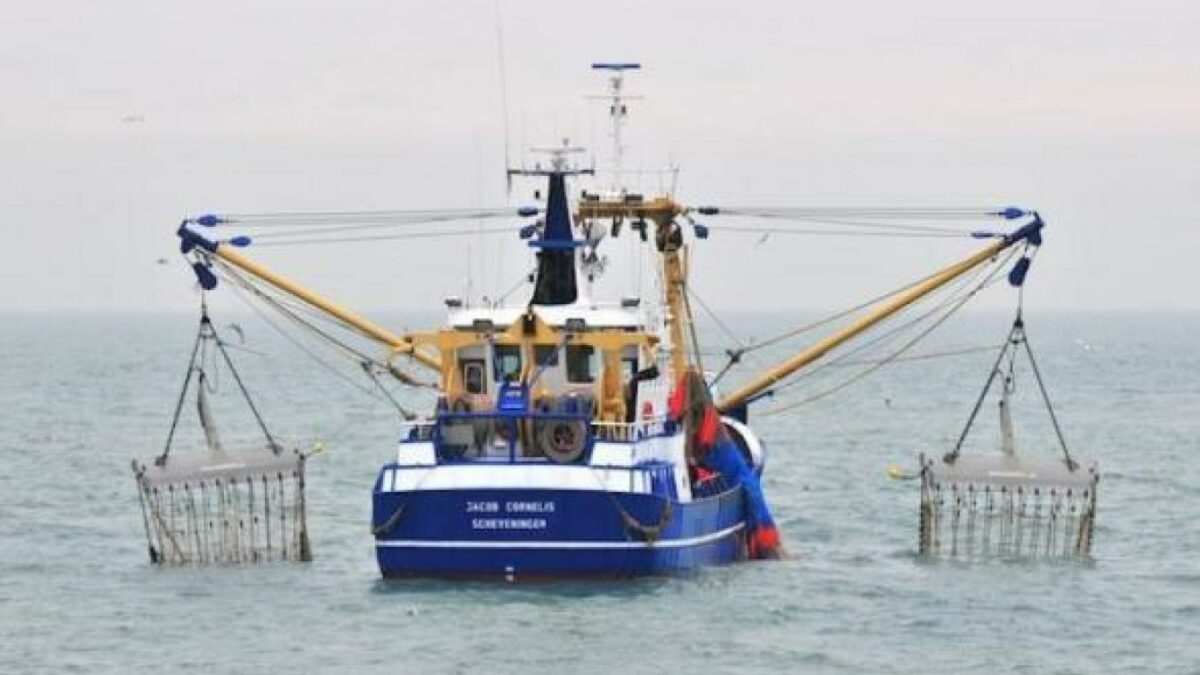 Mobilisation contre la pêche électrique