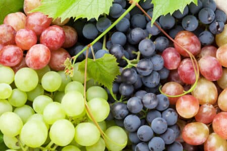 Des quantités de résidus de pesticides supérieures aux limites autorisées retrouvées dans les fruits et légumes