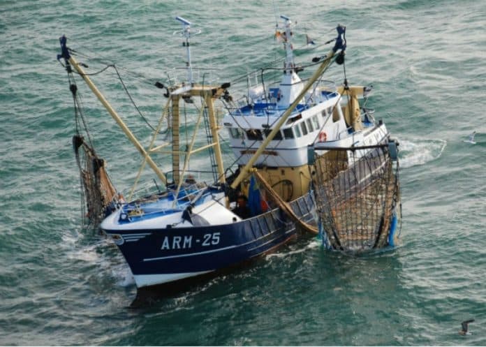 La destruction de l’environnement favorisée par les paradis fiscaux