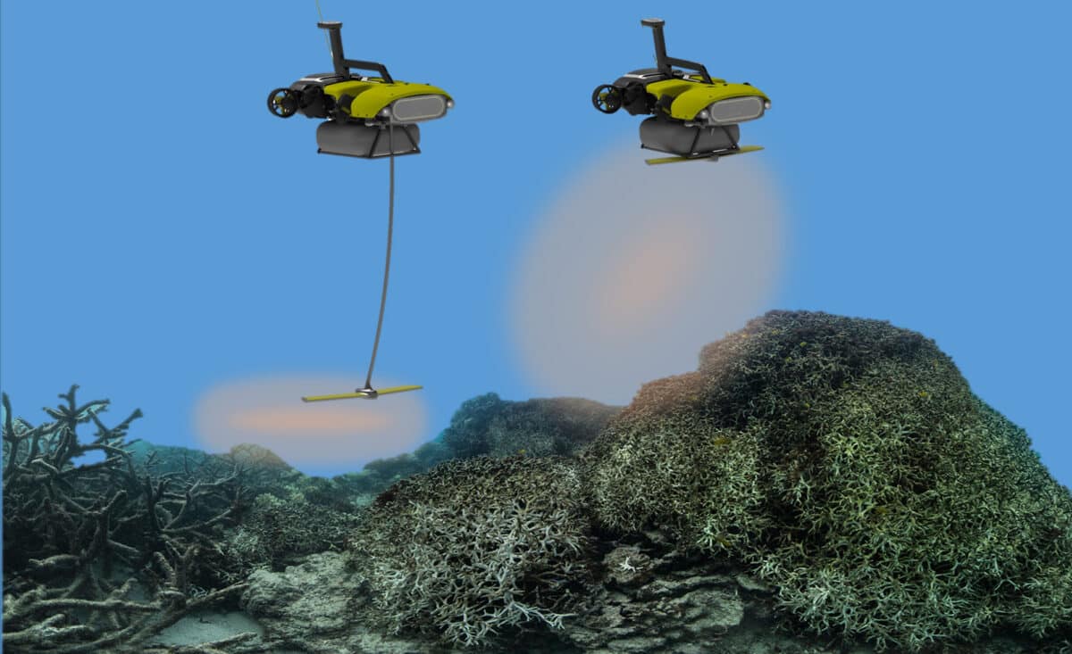 Le drone sous-marin «LarvalBot» à la rescousse des récifs coralliens endommagés par le changement climatique