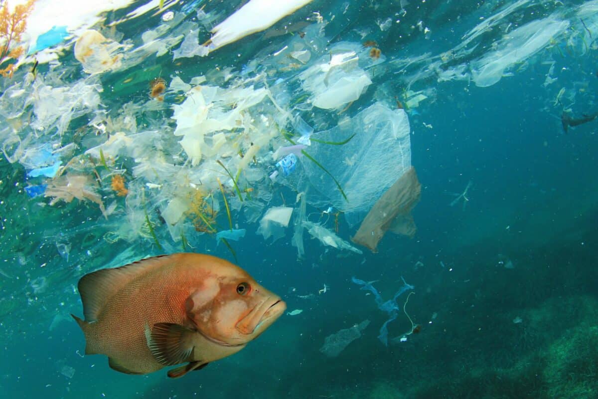 La pollution plastique devrait doubler d’ici 2030