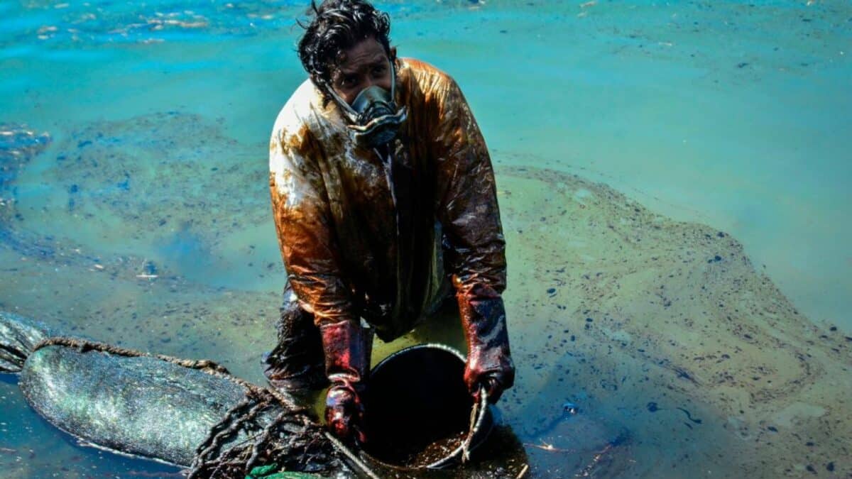Le navire échoué au large de l’île Maurice continue de déverser son pétrole