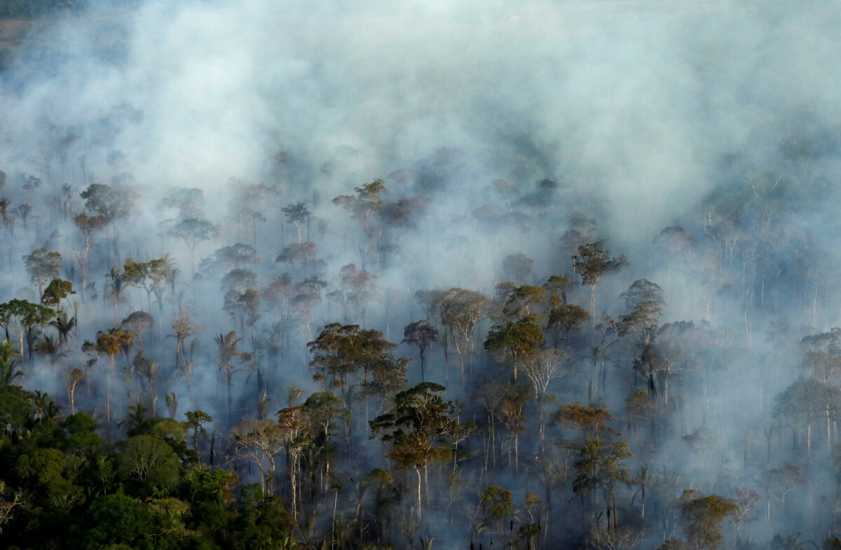 Certaines parties de l’Amazonie commencent à émettre du dioxyde de carbone plutôt qu’à en absorber