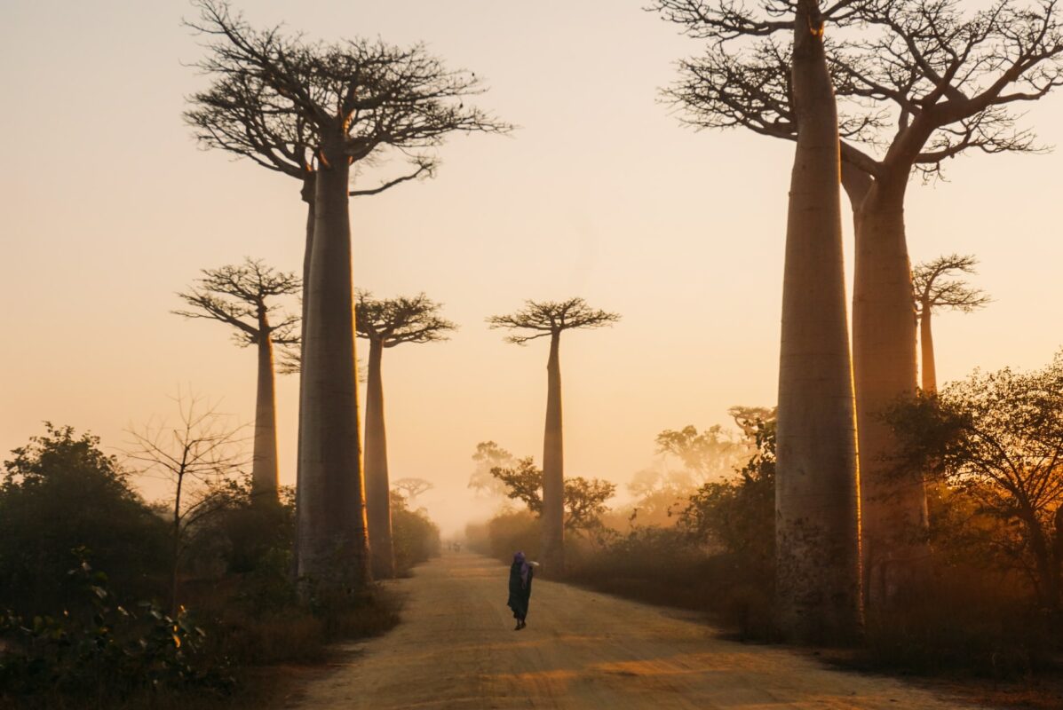 A Madagascar, la population victime du réchauffement climatique Madagascar crise famine réchauffement climatique