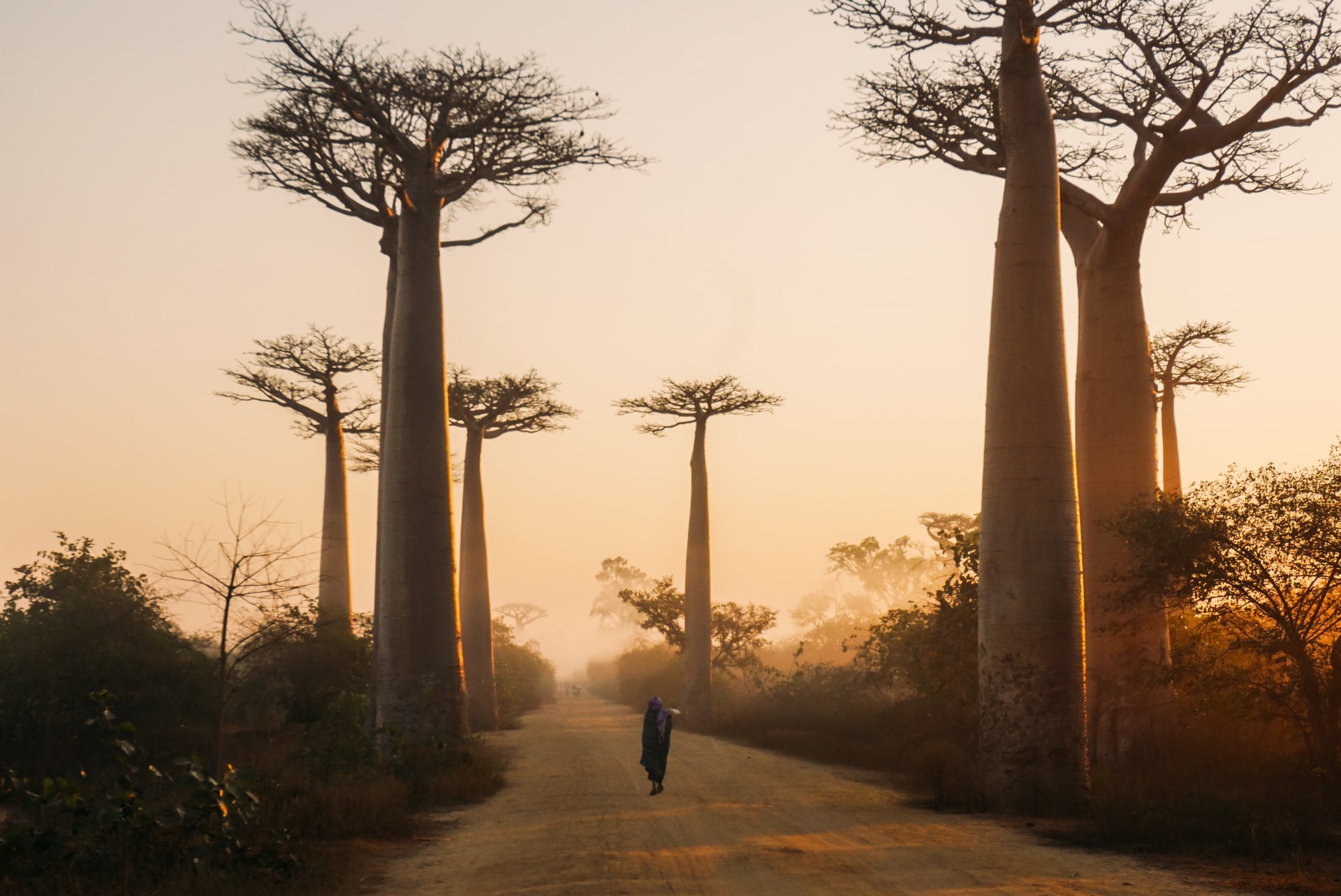 Madagascar crise famine réchauffement climatique