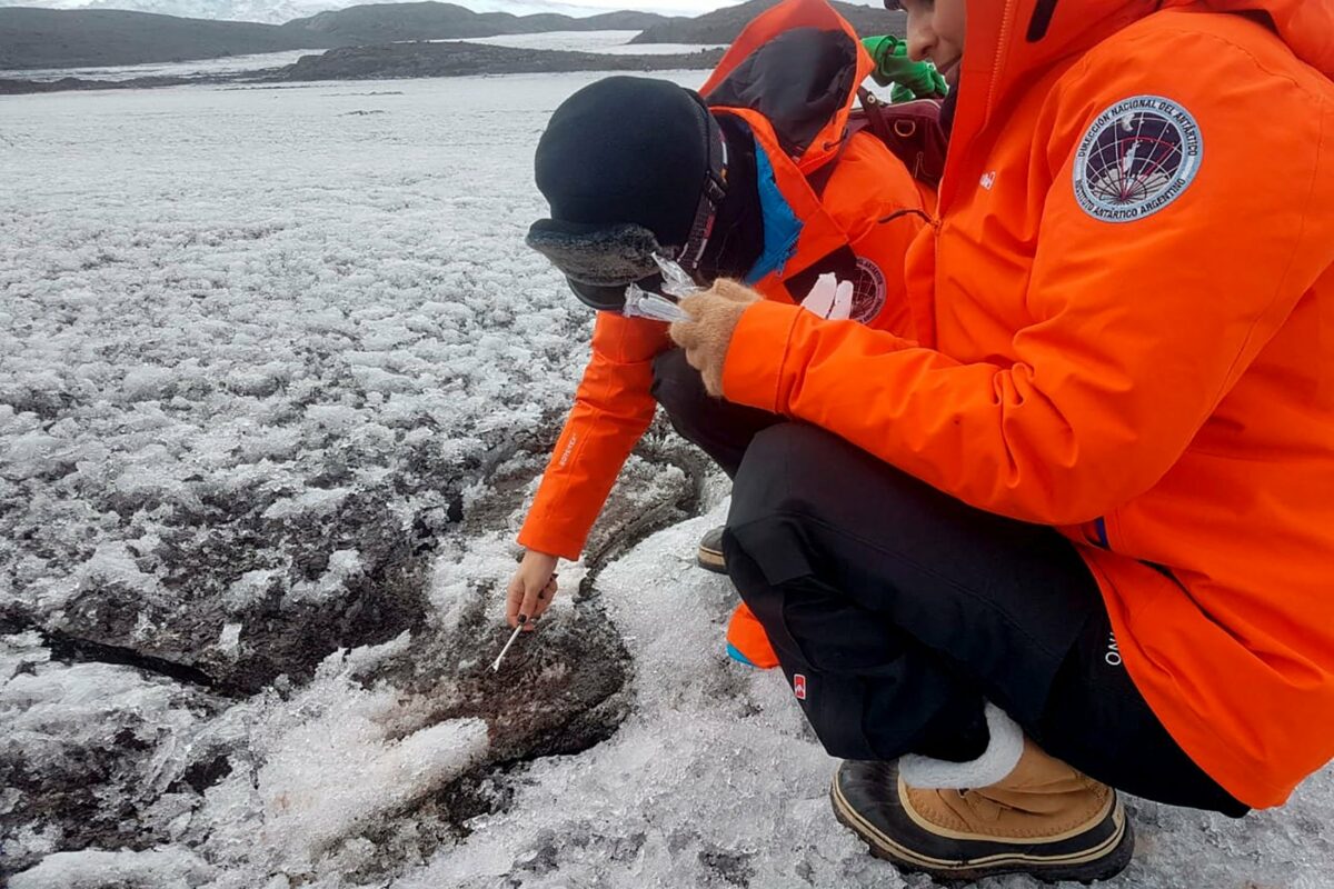 Des microbes mangeurs de carburant peuvent également aider au nettoyage du plastique