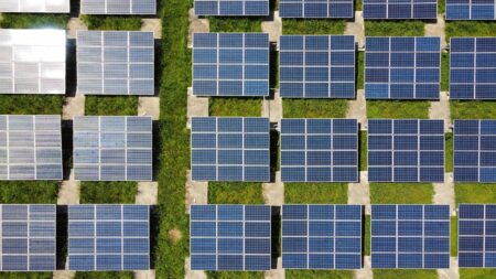 electricite-verte-essor-ppa-entreprises