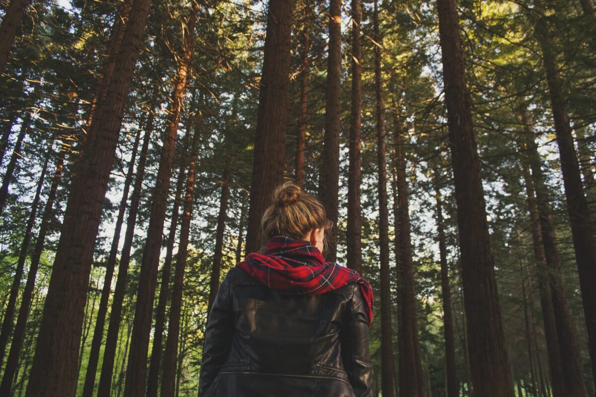 Citoyens : comment se mobiliser concrètement pour les forêts françaises ?