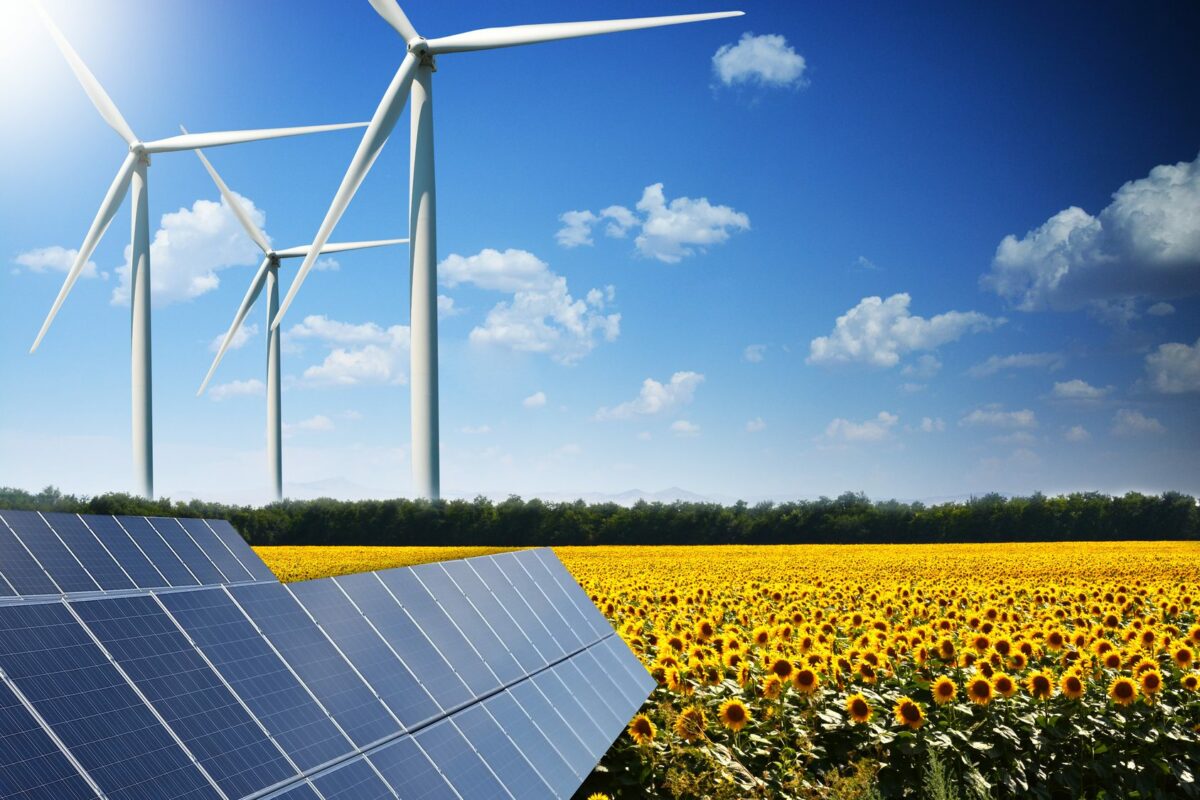 La capacité mondiale des énergies renouvelables a augmenté de 10% l’année dernière