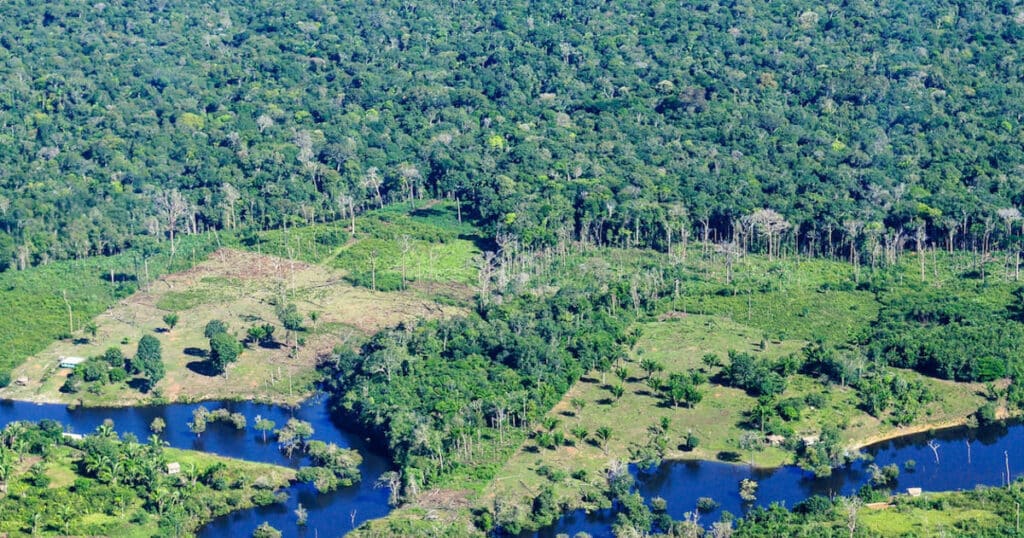 Les dirigeants autochtones d’Amazonie promeuvent le reboisement des terres forestières dégradées
