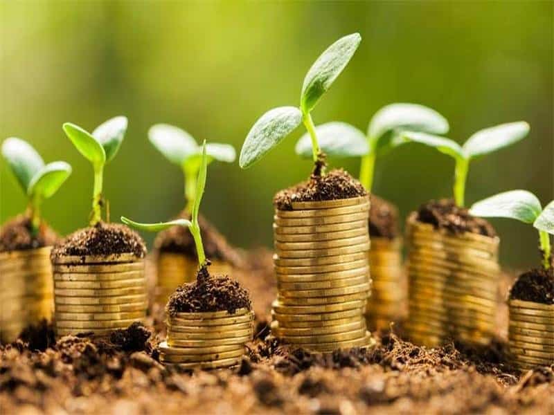 L’Europe devra peut-être mieux orienter les fonds privés pour atteindre ses objectifs verts