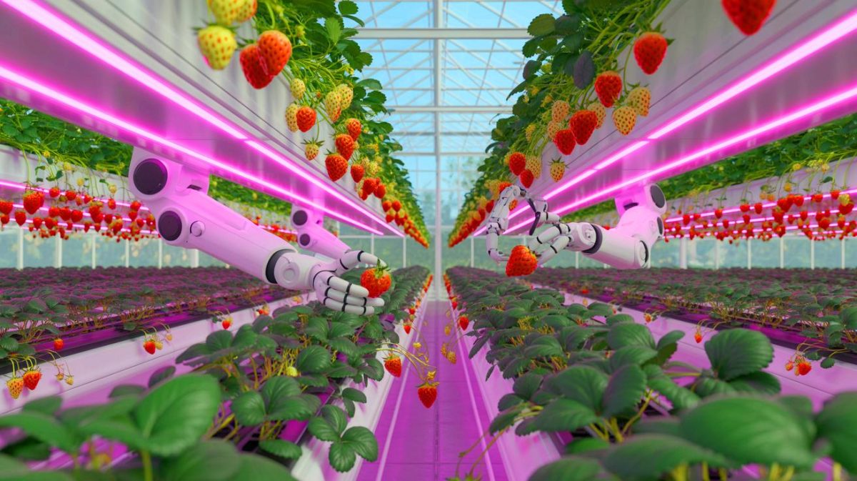 Illustration de la serre high-tech de James Dyson optimisant la culture de fraises.