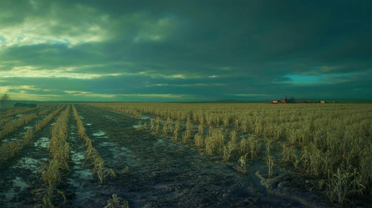 « Un hiver nucléaire anéantirait nos récoltes » : les chercheurs préviennent qu’une guerre mondiale pourrait réduire de 87 % la production de maïs Illustration de l'impact dévastateur d'un hiver nucléaire sur la production alimentaire mondiale.