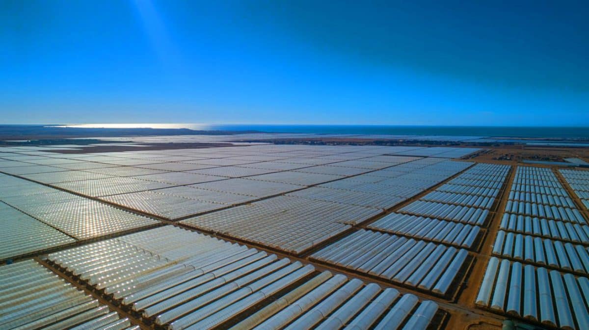 Illustration de la vaste étendue de serres en plastique d'Almería, visibles depuis l'espace.