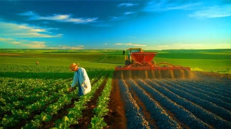 Illustration de l'utilisation du basalte pour accélérer la capture du carbone sur des terres agricoles brésiliennes.