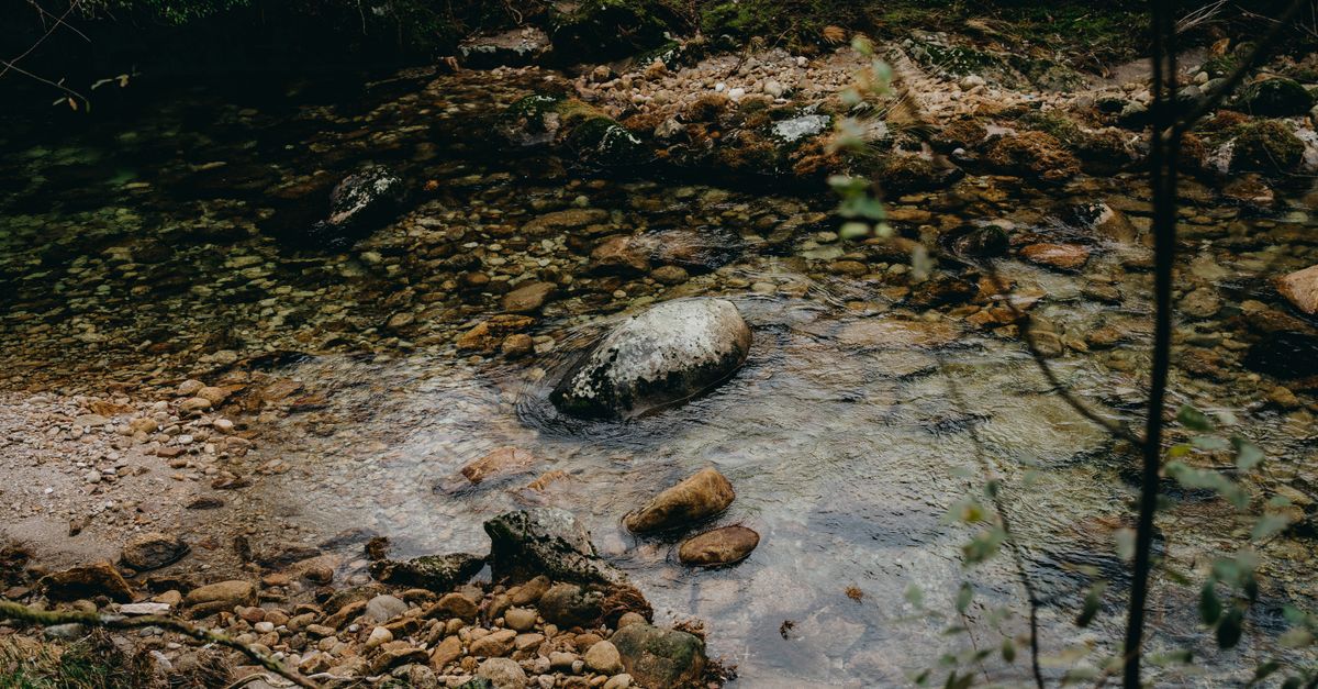 EAU – Le SEDIF accusé d’avoir « aidé » Veolia à Paris clean water river environment