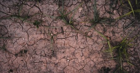 climate change environment