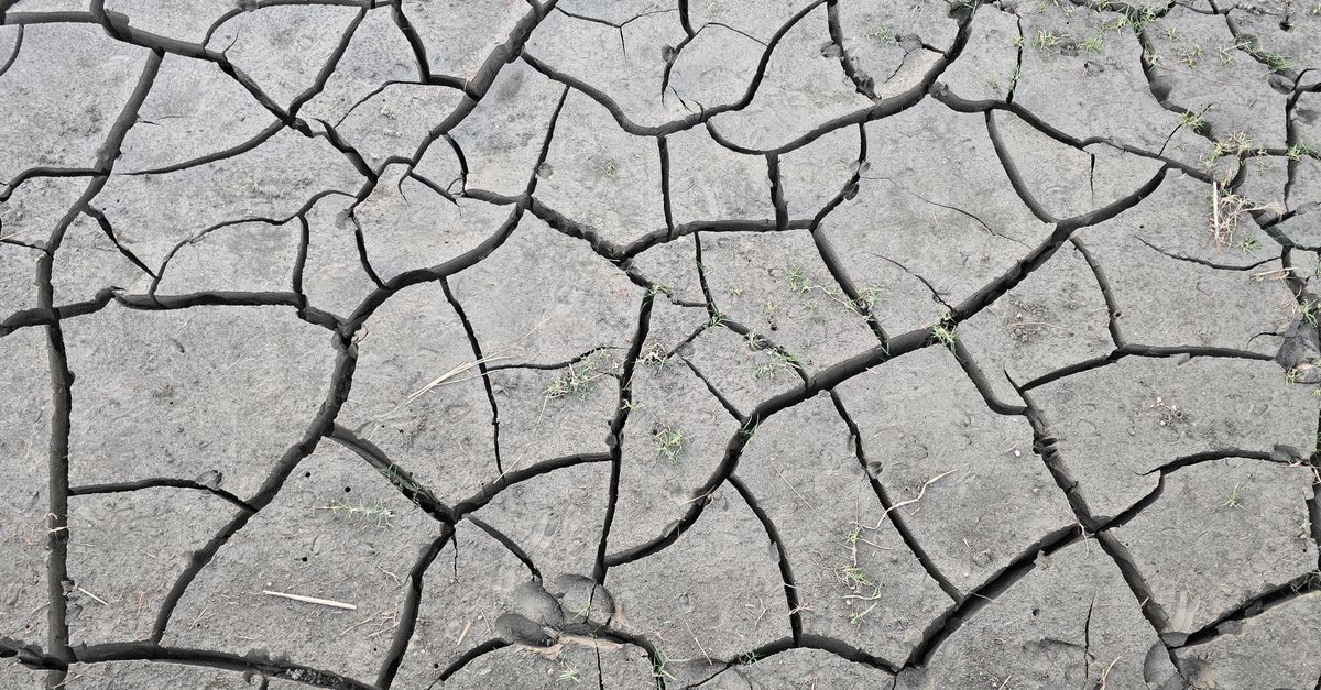 Une membrane d’absorption du dioxyde de carbone en polypropylène efficace climate change environment