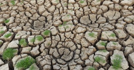 climate change environment