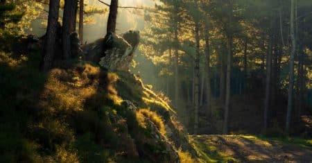 environment nature landscape