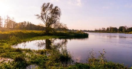 environment nature landscape