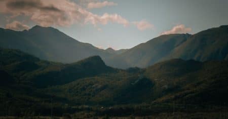 environment nature landscape