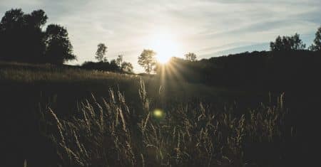 environment nature landscape